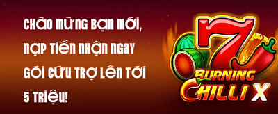 Hoàn Trả Mỗi Ngày
